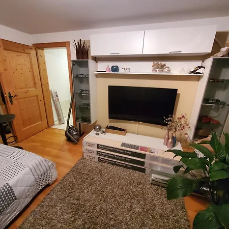 Single In House Klosters