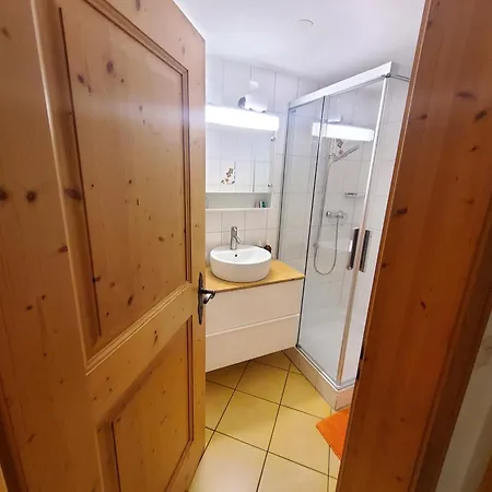 Single In House Homestay Klosters